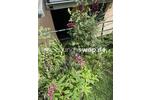 Etagenwohnung Köln Lindenthal - 3 Zimmer, 80 m&sup2;, 1.030&euro; | Angebot:24538917